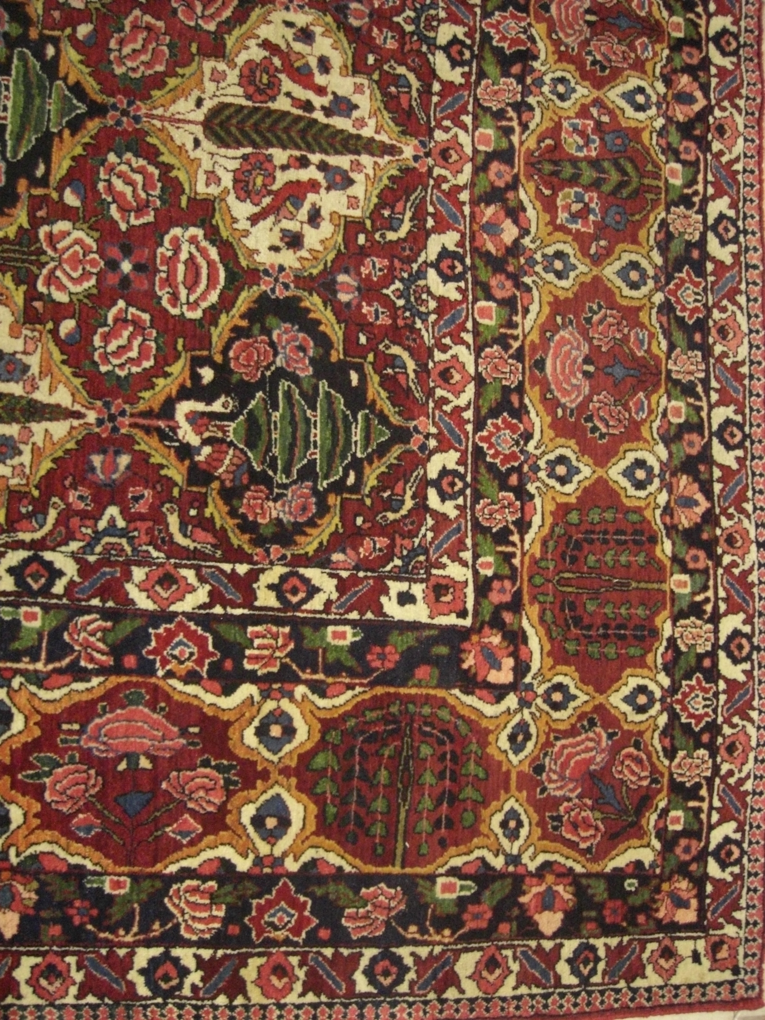 Rug image